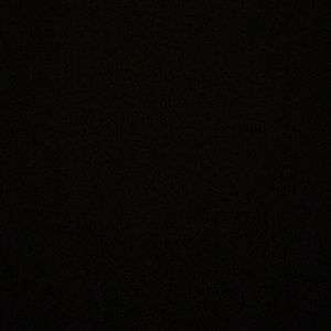 Meet your Posher, Randy